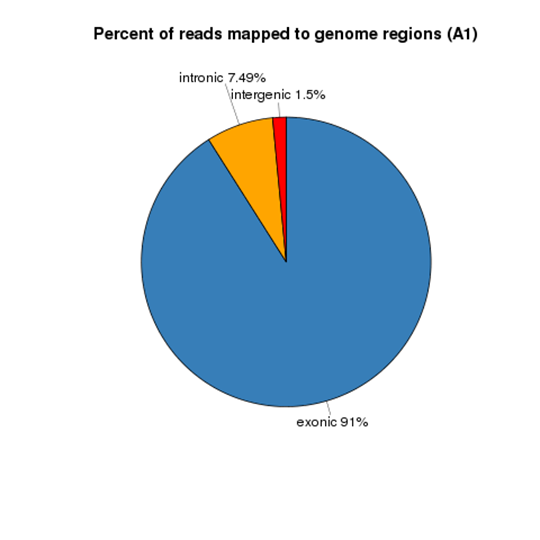 Reads Distribution on Reference Genome for Novogene RNA-seq