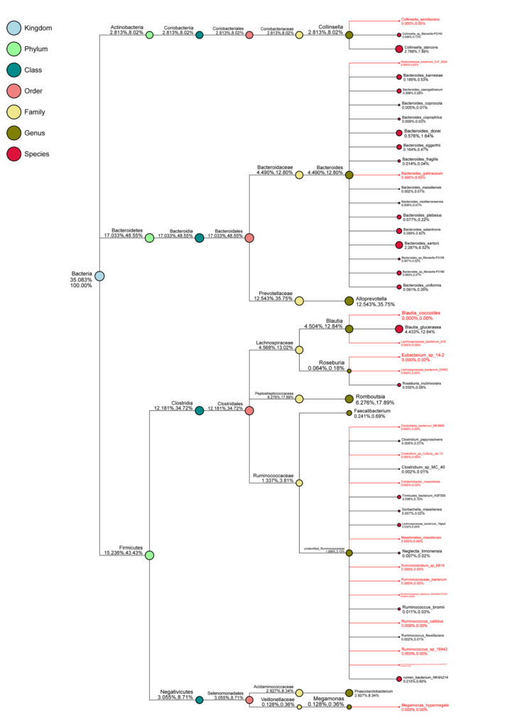 Novogene Amplicon Taxonomy Tree for A Single Sample